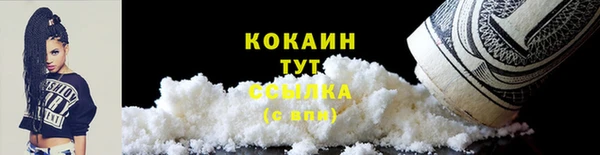 дмт Новокубанск