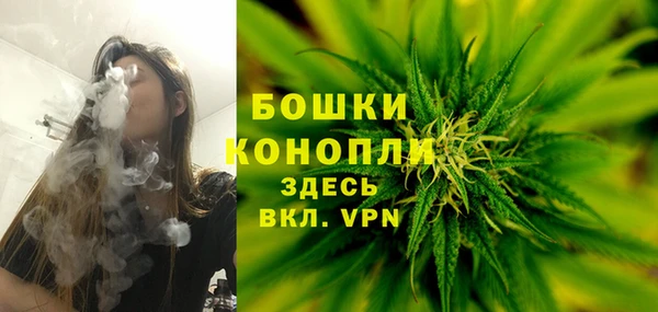 дмт Новокубанск
