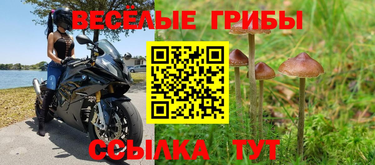 Новомосковск  Галлюциногенные грибы MAGIC MUSHROOMS  Псилоцибиновые грибы Magic Shrooms  Вход с VPN 